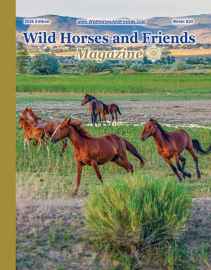 2026 Wild Horses and Friends Magazine cover featuring wild horses running through a green Nevada landscape with mountains in the background.